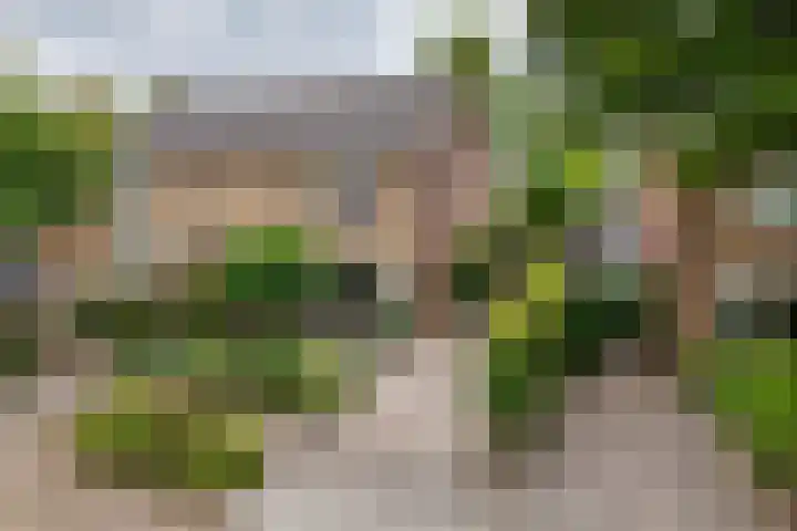 Emmalaan 9 Tiel thumbnail 56