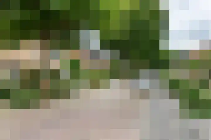 Emmalaan 9 Tiel thumbnail 57