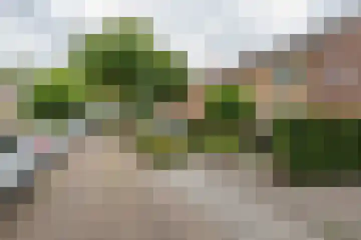 Emmalaan 9 Tiel thumbnail 58