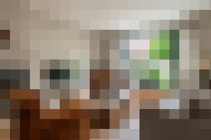 Emmalaan 9 Tiel thumbnail 6