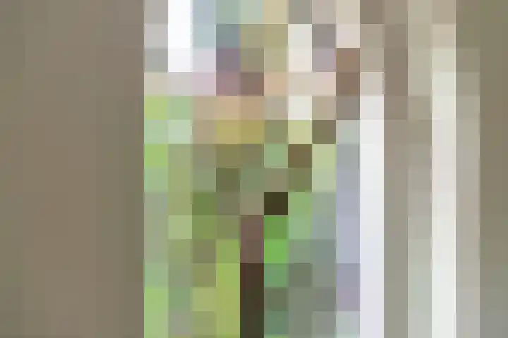 Emmalaan 9 Tiel thumbnail 8