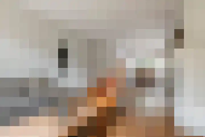 Emmalaan 9 Tiel thumbnail 9