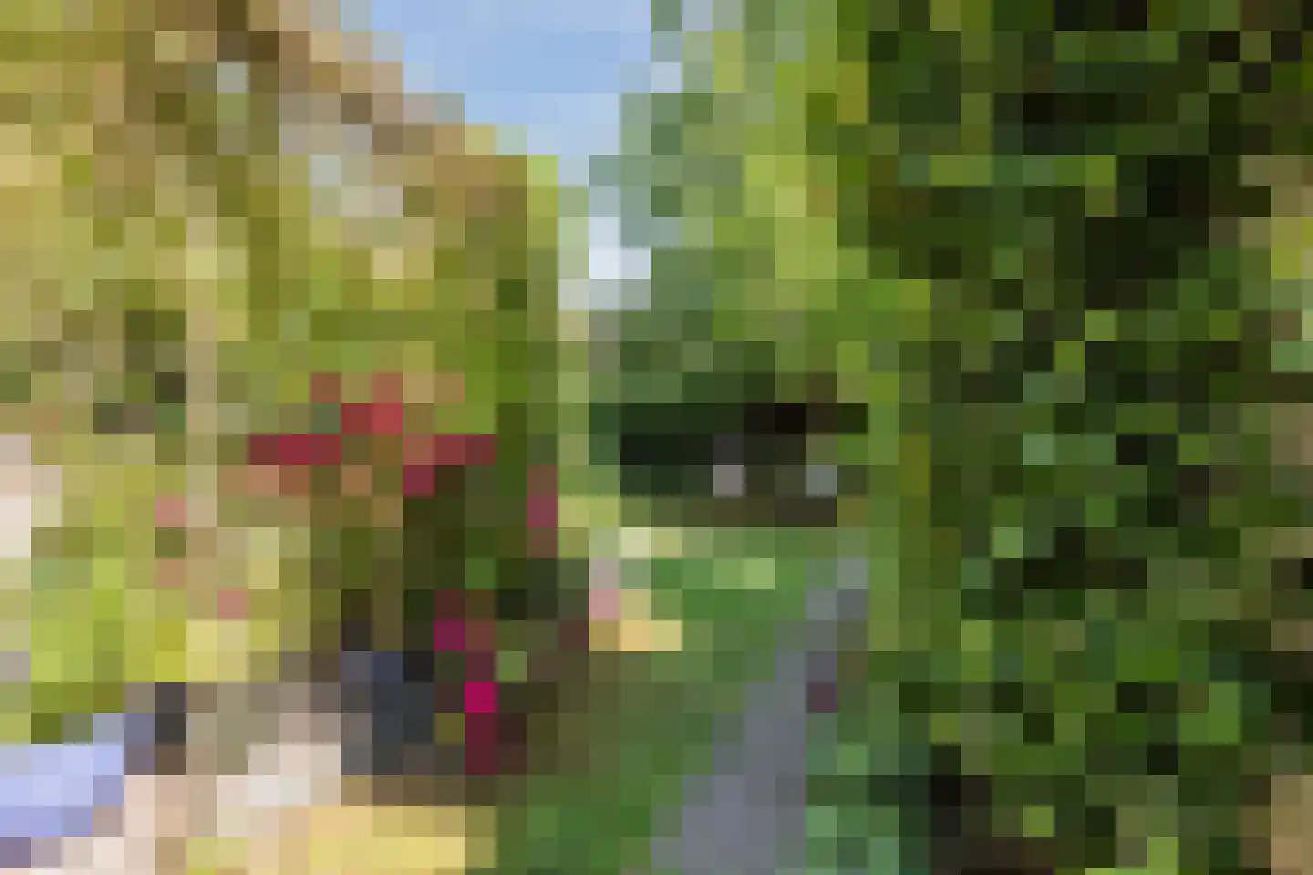 Emmapark 31 Wageningen thumbnail 63