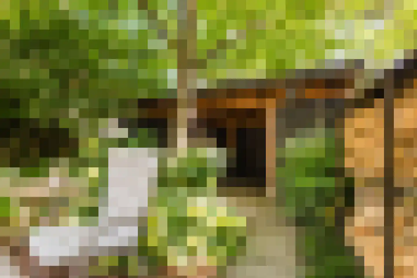 Emmapark 31 Wageningen thumbnail 64