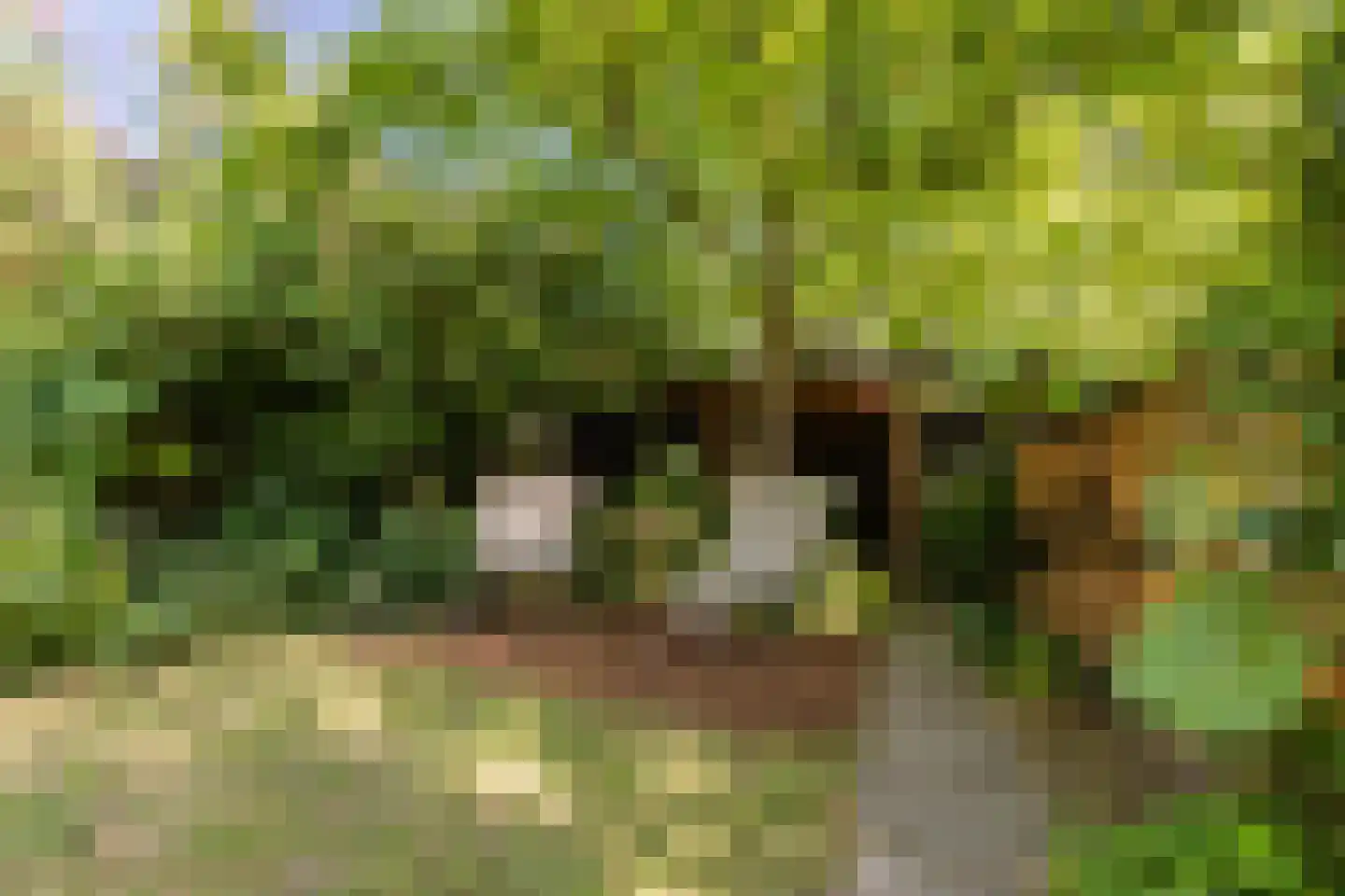 Emmapark 31 Wageningen thumbnail 65