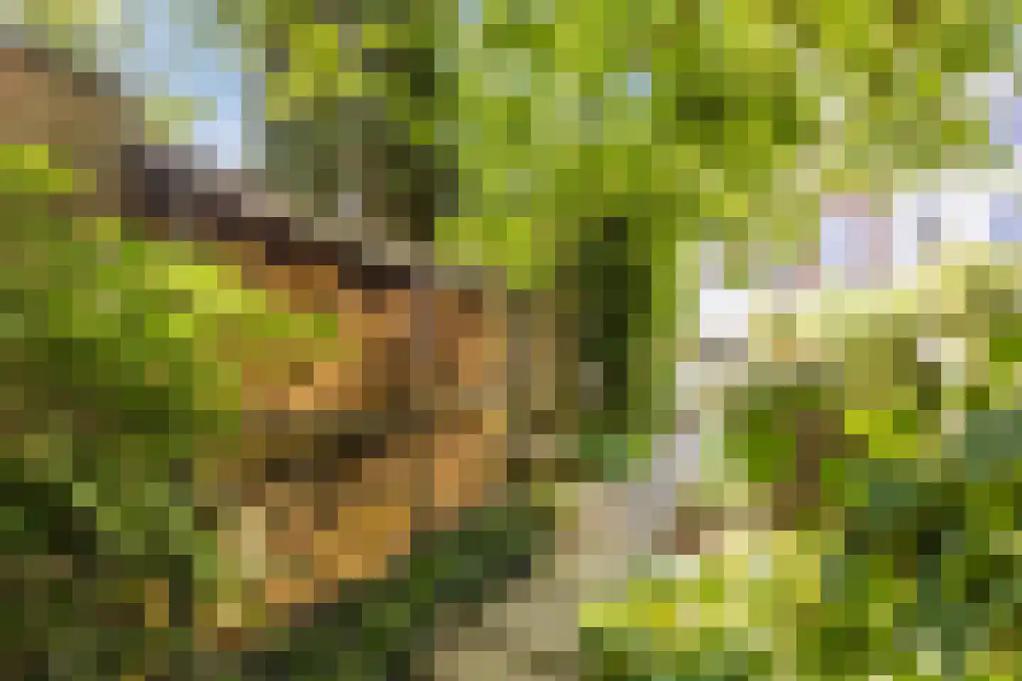 Emmapark 31 Wageningen thumbnail 67