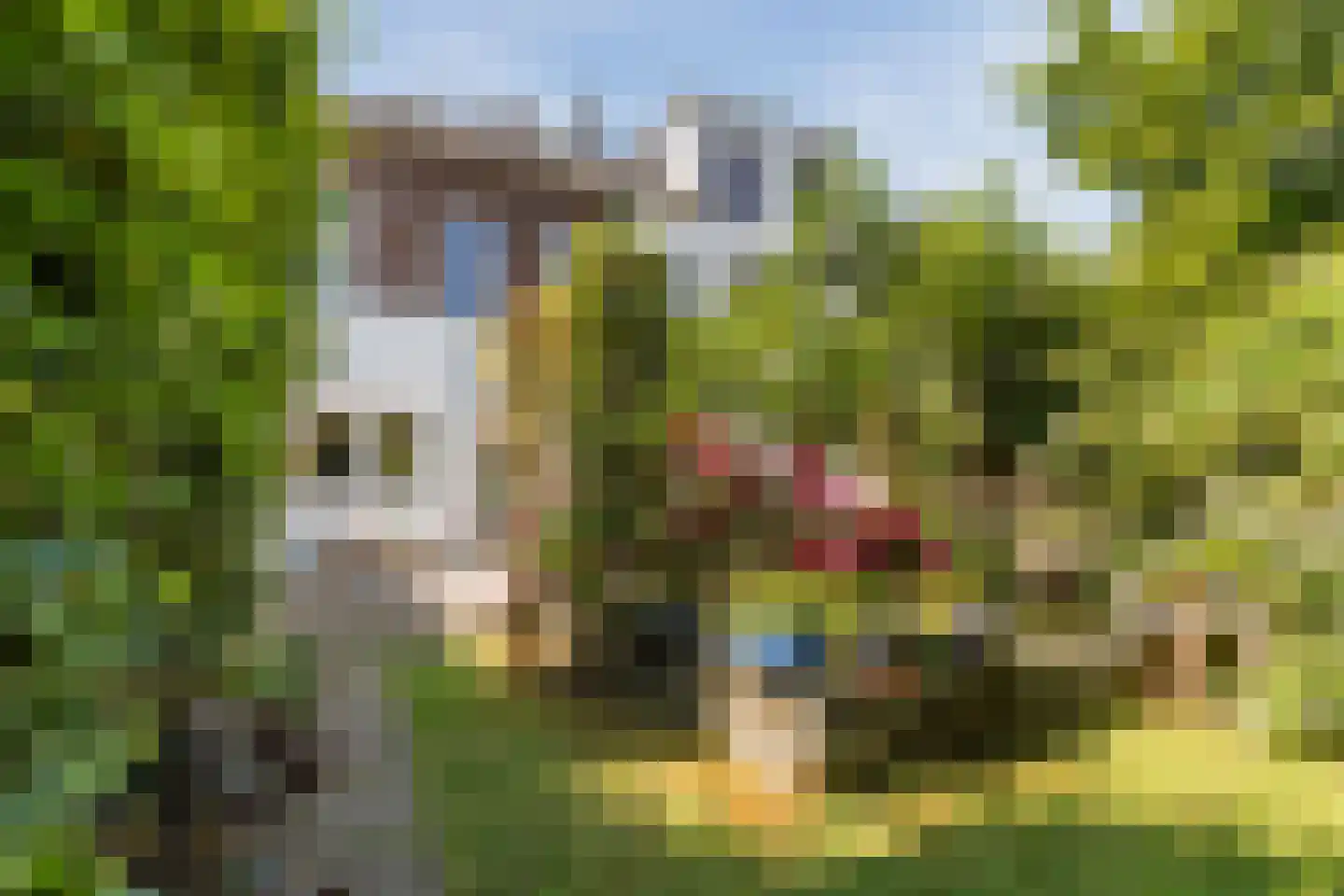 Emmapark 31 Wageningen thumbnail 68