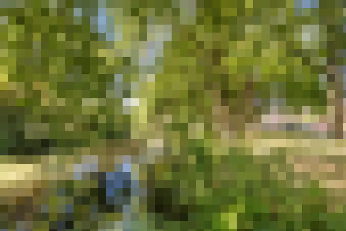 Emmapark 31 Wageningen thumbnail 69