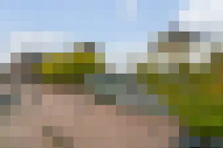 Emmapark 74 Pijnacker thumbnail 72