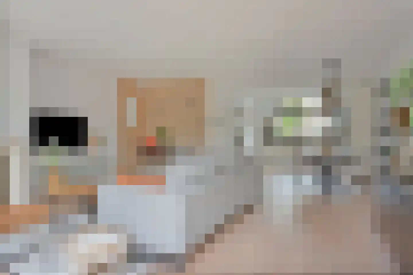 Emmaplaats 36 Benthuizen thumbnail 17