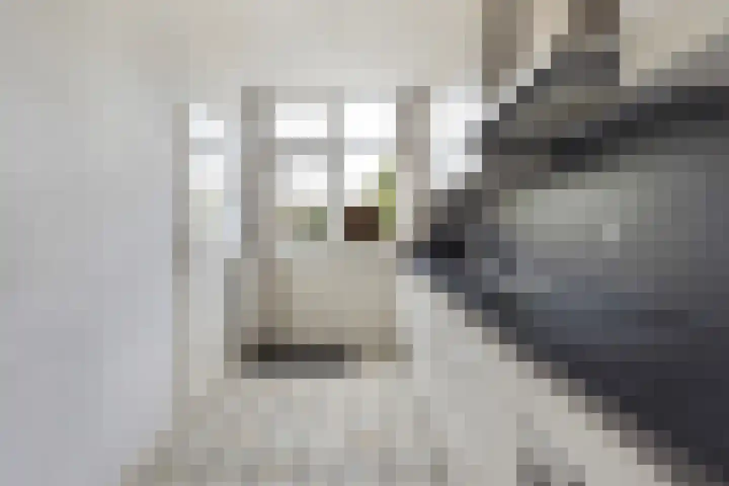 Emmaplein 11 Rozenburg thumbnail 18