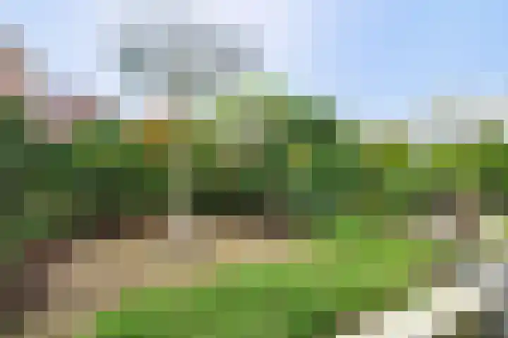 Emmaplein 110 Zeist thumbnail 16
