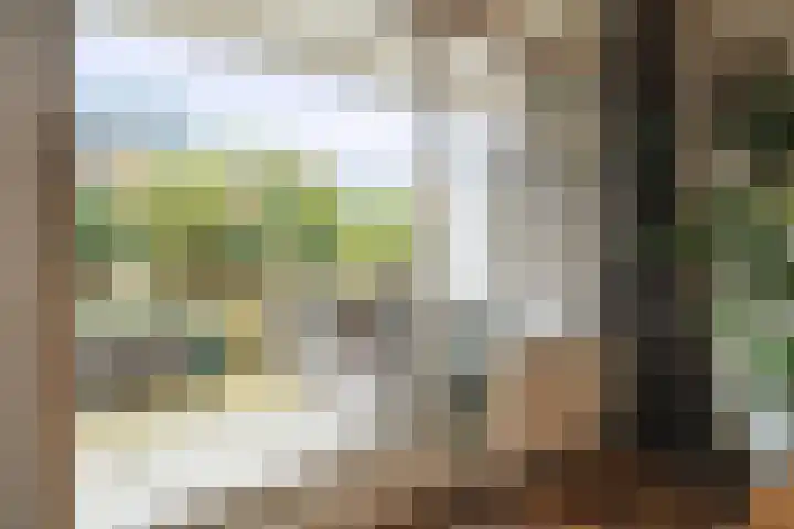 Emmaplein 110 Zeist thumbnail 9