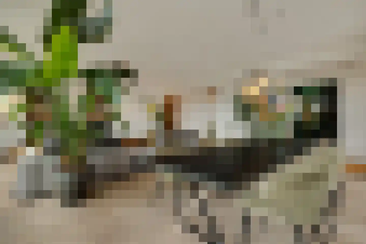 Emmaplein 111 's-Hertogenbosch thumbnail 12