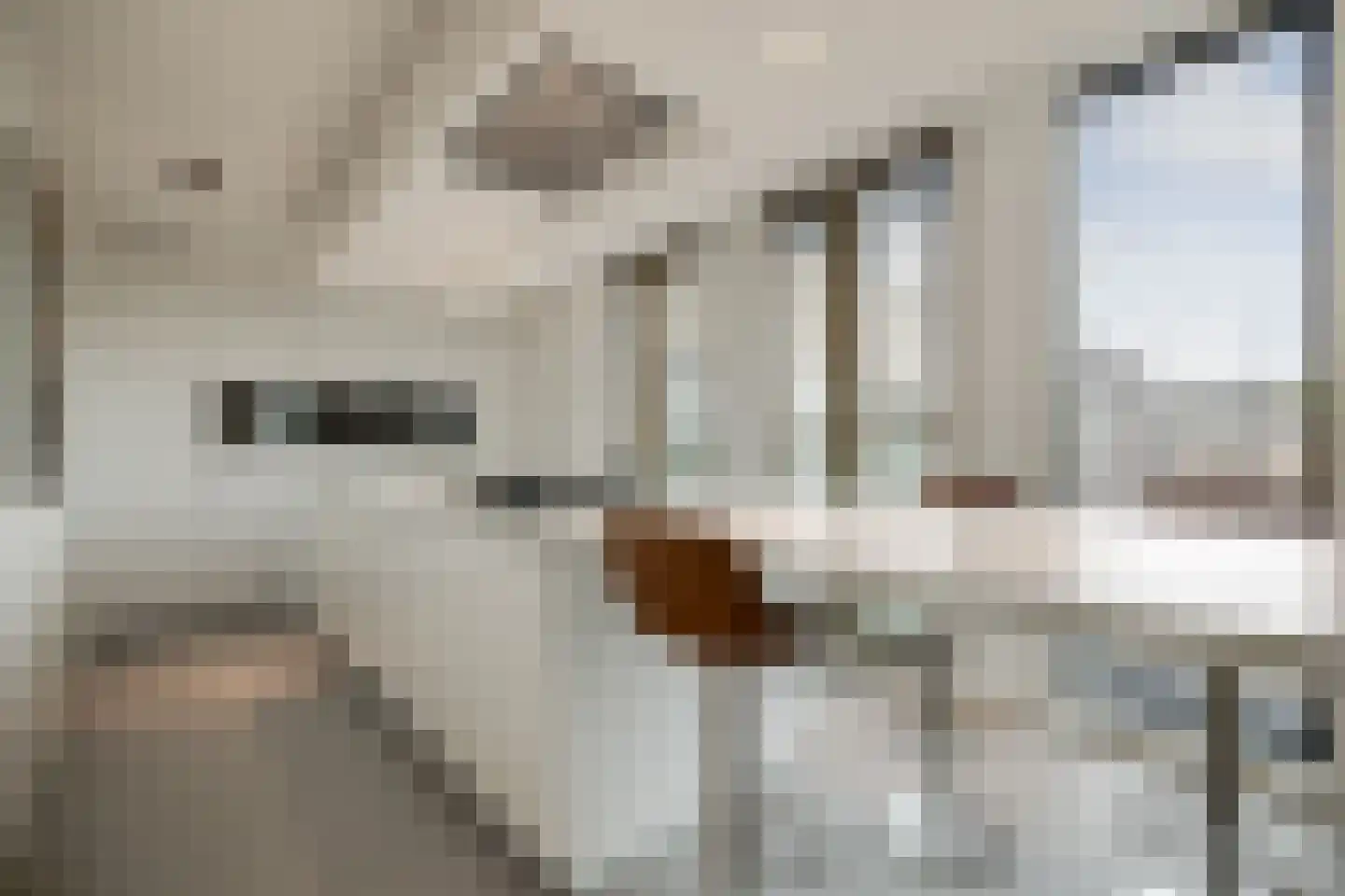 Emmaplein 111 's-Hertogenbosch thumbnail 15