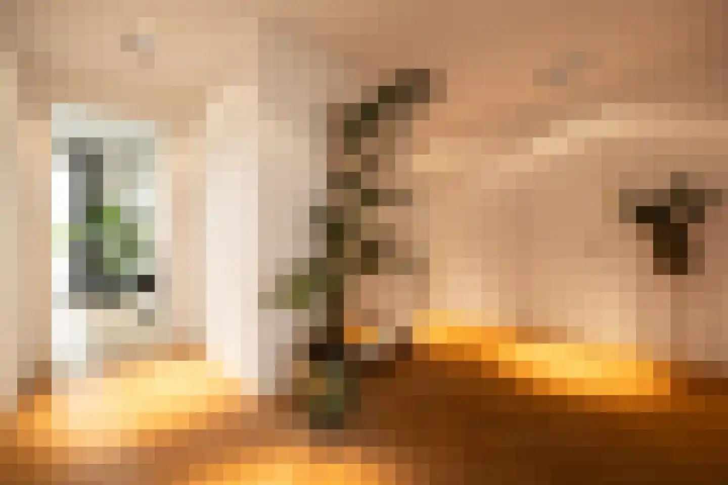 Emmaplein 111 's-Hertogenbosch thumbnail 25