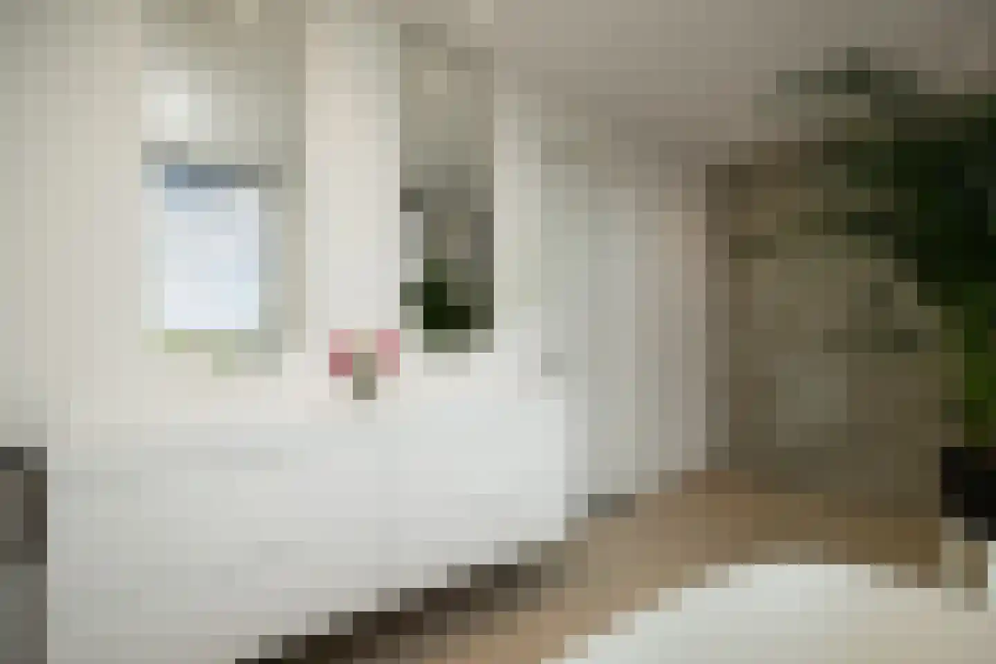 Emmaplein 111 's-Hertogenbosch thumbnail 31