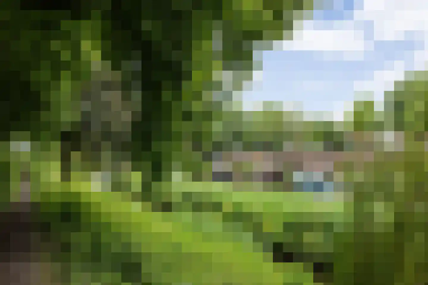 Emmaplein 111 's-Hertogenbosch thumbnail 53