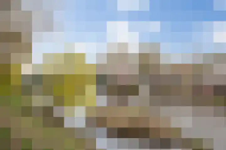 Emmaplein 119 's-Hertogenbosch thumbnail 32