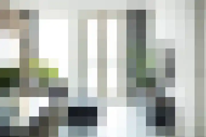 Emmaplein 119 's-Hertogenbosch thumbnail 7