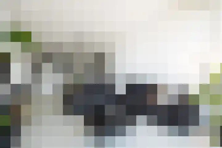 Emmaplein 119 's-Hertogenbosch thumbnail 8