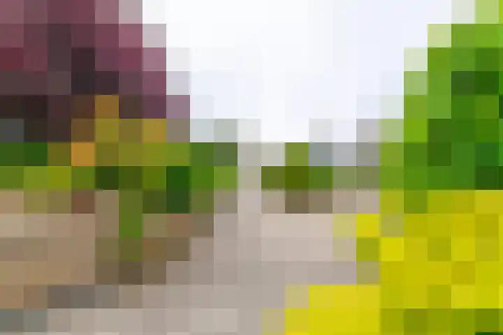 Emmaplein 132 Zeist thumbnail 20