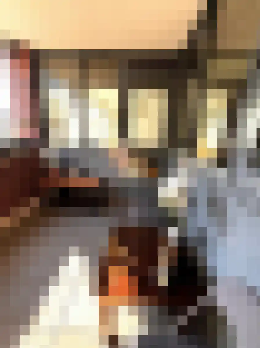 Emmaplein 17 Schiedam thumbnail 9
