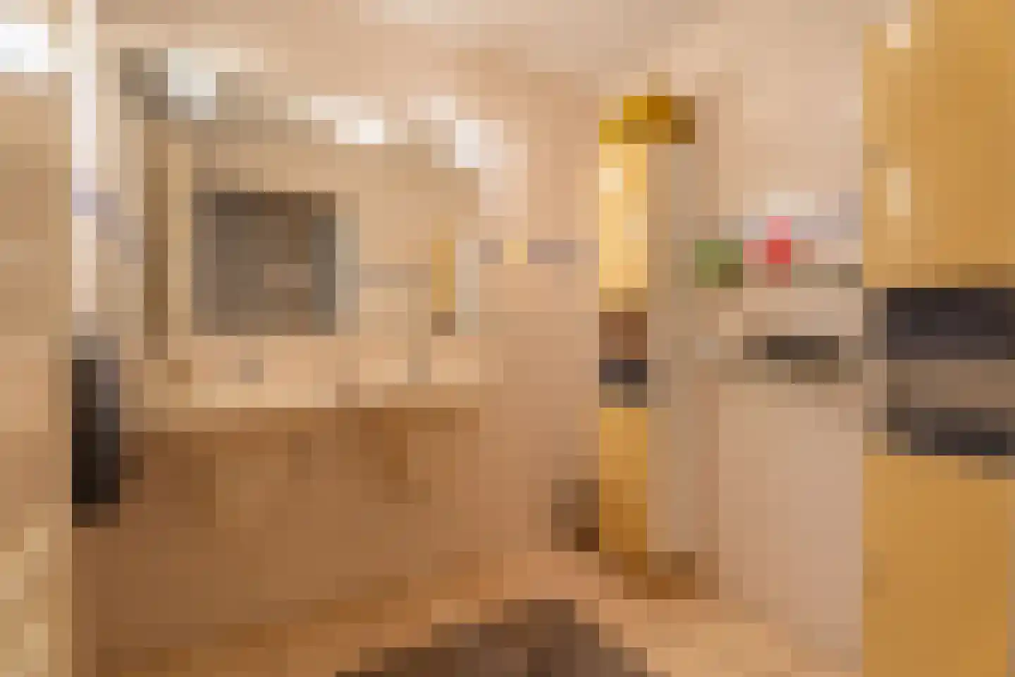 Emmaplein 18 Katwijk thumbnail 12