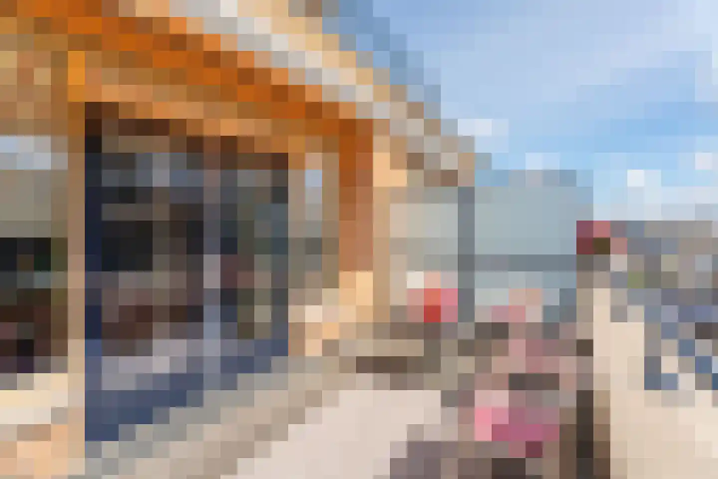 Emmaplein 18 Katwijk thumbnail 20