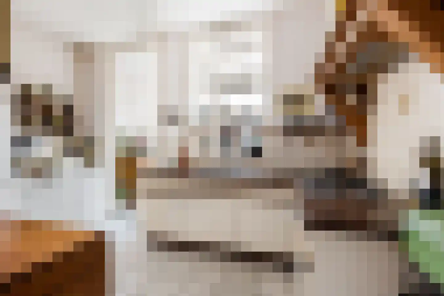 Emmaplein 2 Halfweg thumbnail 13