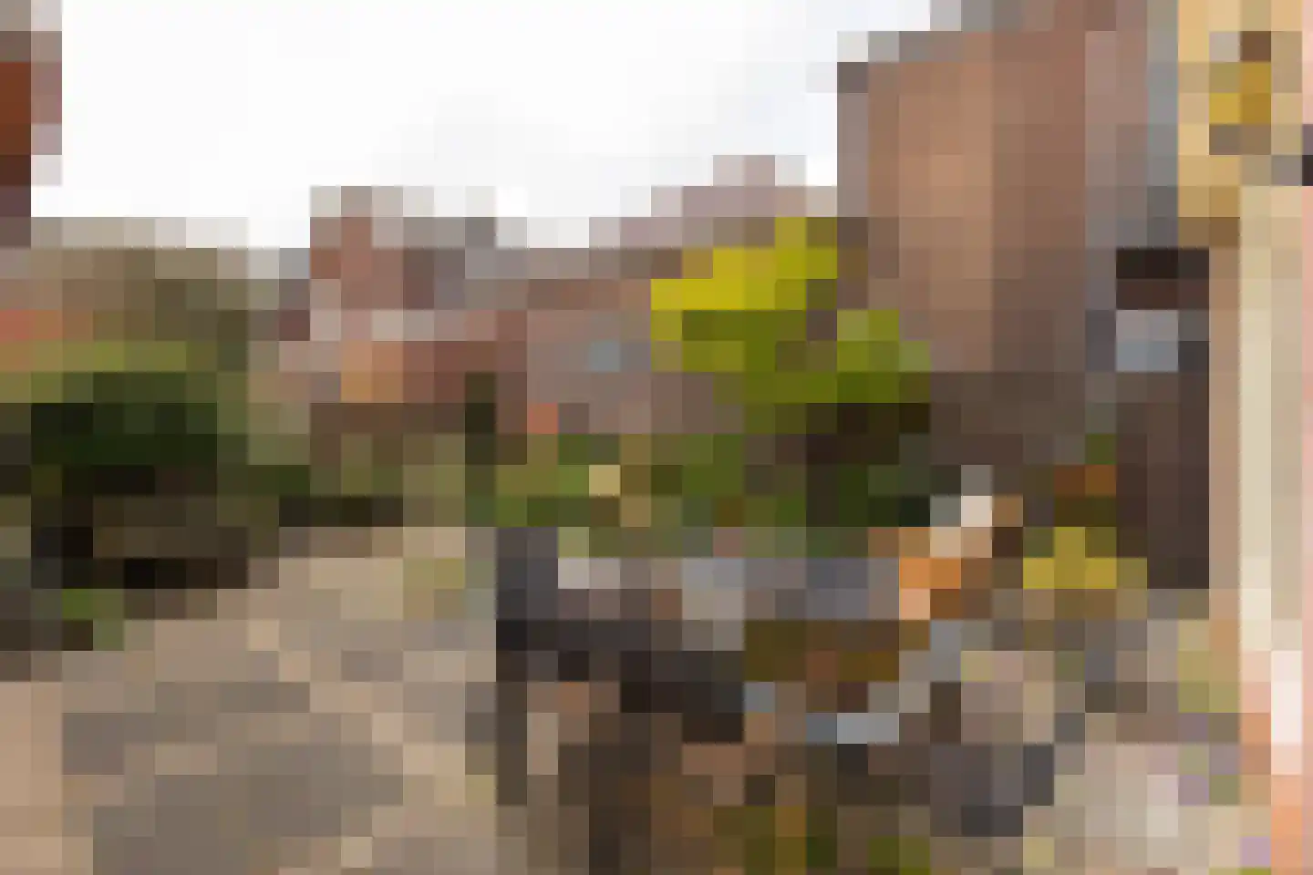 Emmaplein 2 Halfweg thumbnail 28