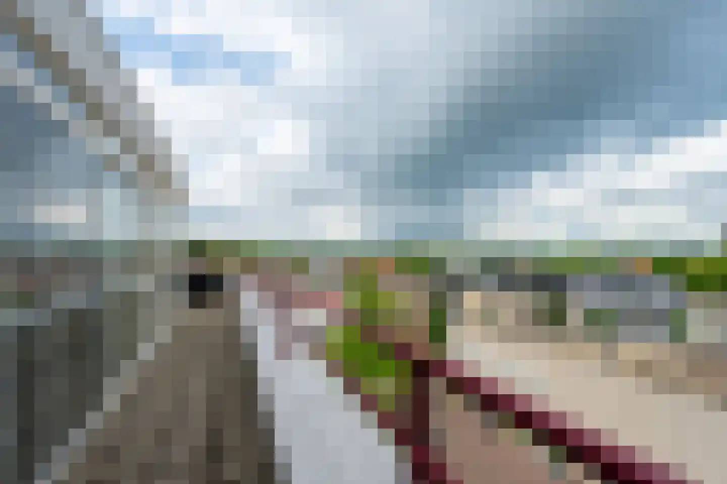 Emmaplein 58 Zeist thumbnail 22