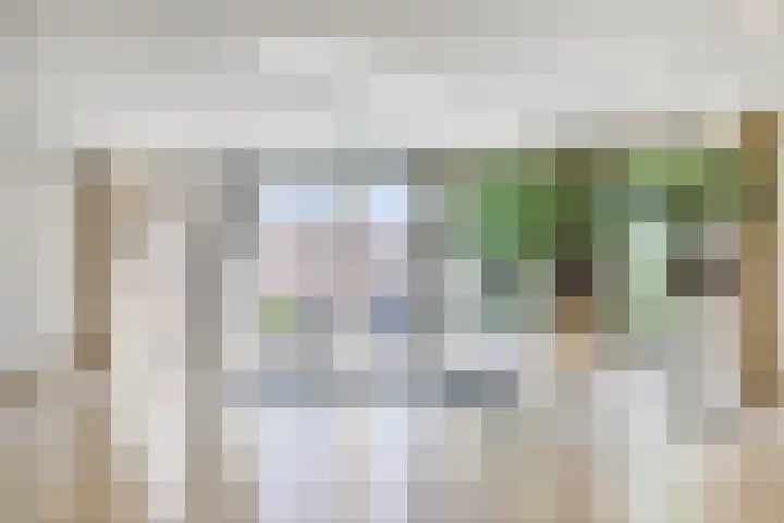 Emmaplein 81 's-Hertogenbosch foto 3