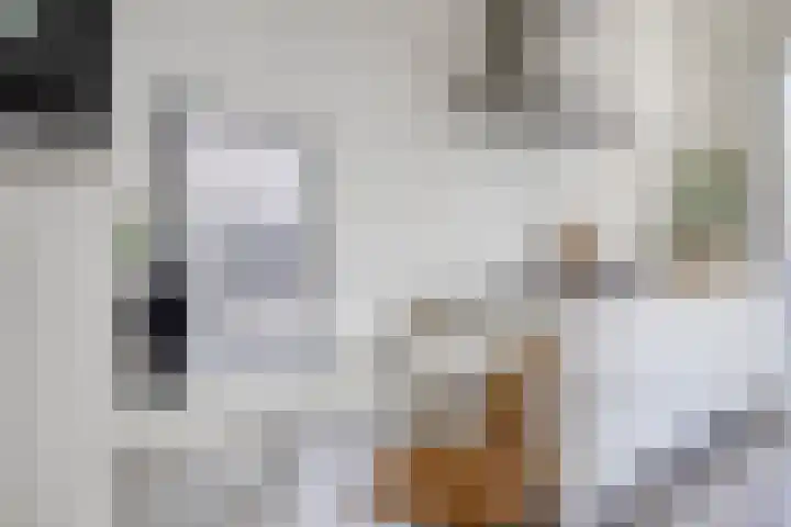Emmaplein 81 's-Hertogenbosch thumbnail 7