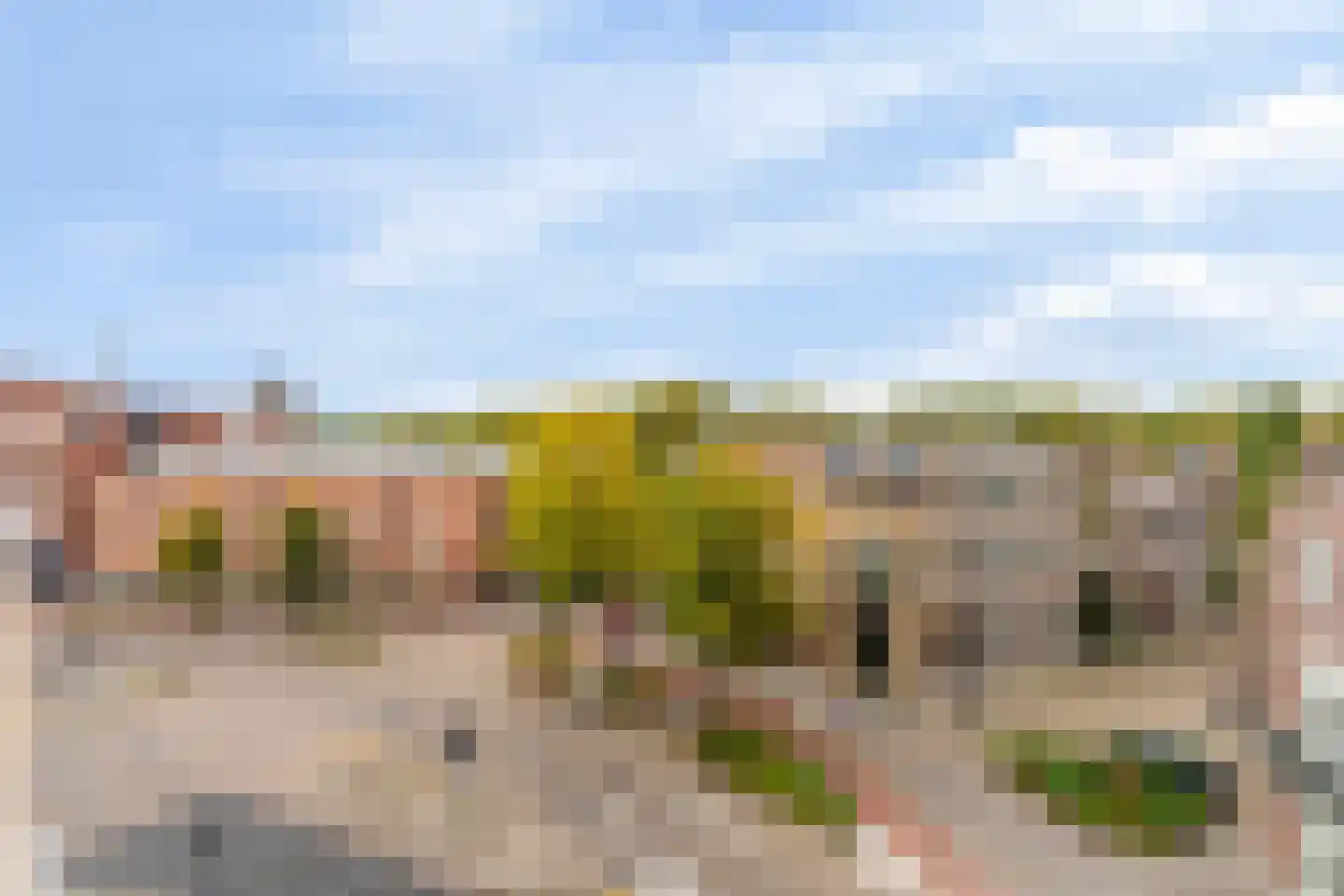 Emmaplein 89 's-Hertogenbosch thumbnail 20