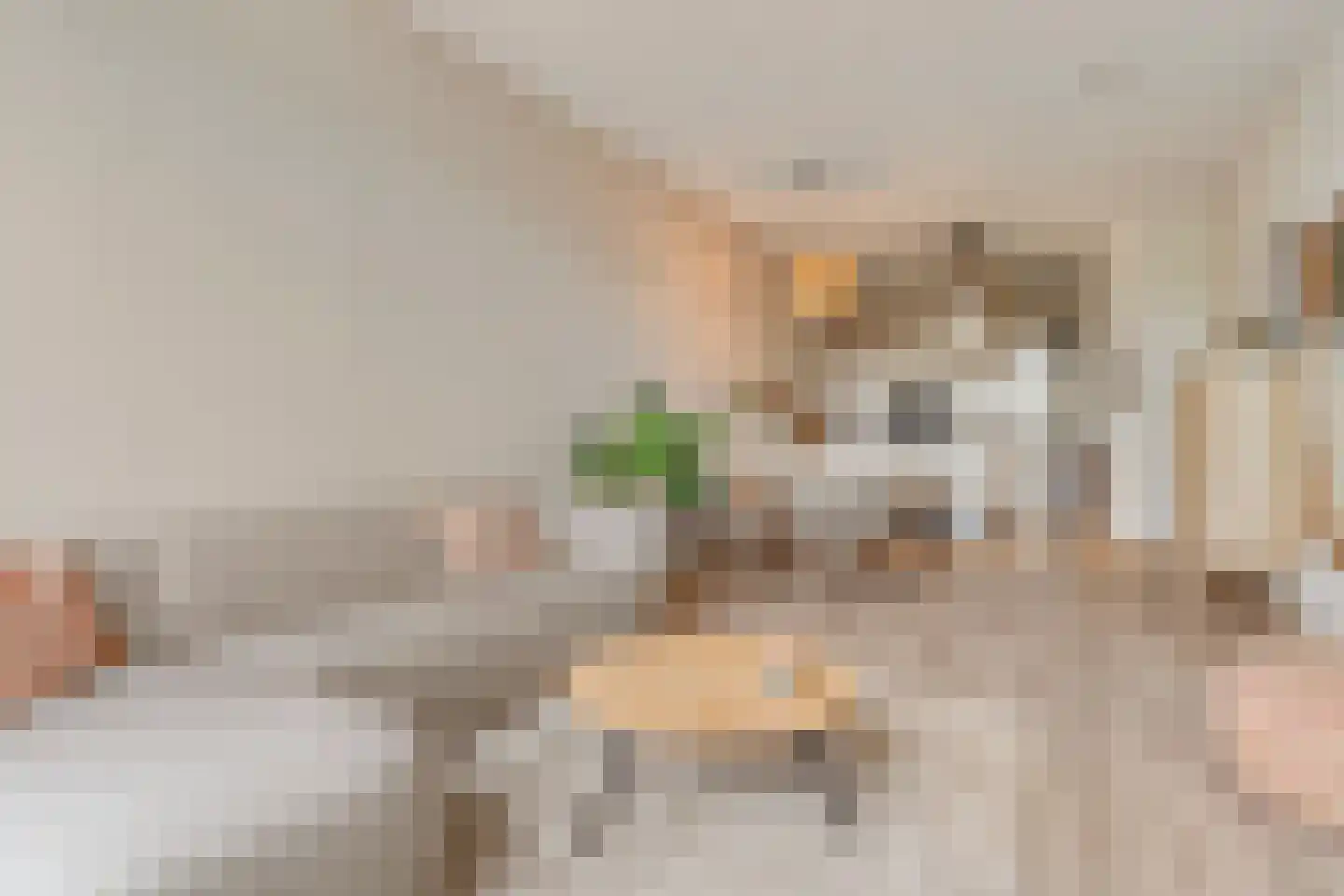 Emmaplein 89 's-Hertogenbosch thumbnail 5