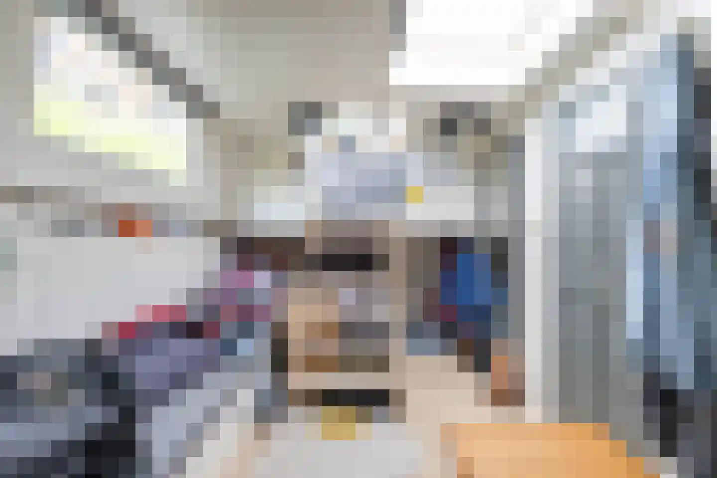 Emmasingel 1001 Groningen thumbnail 14