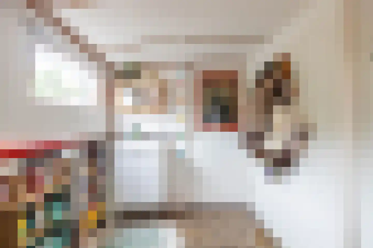 Emmasingel 1001 Groningen thumbnail 26
