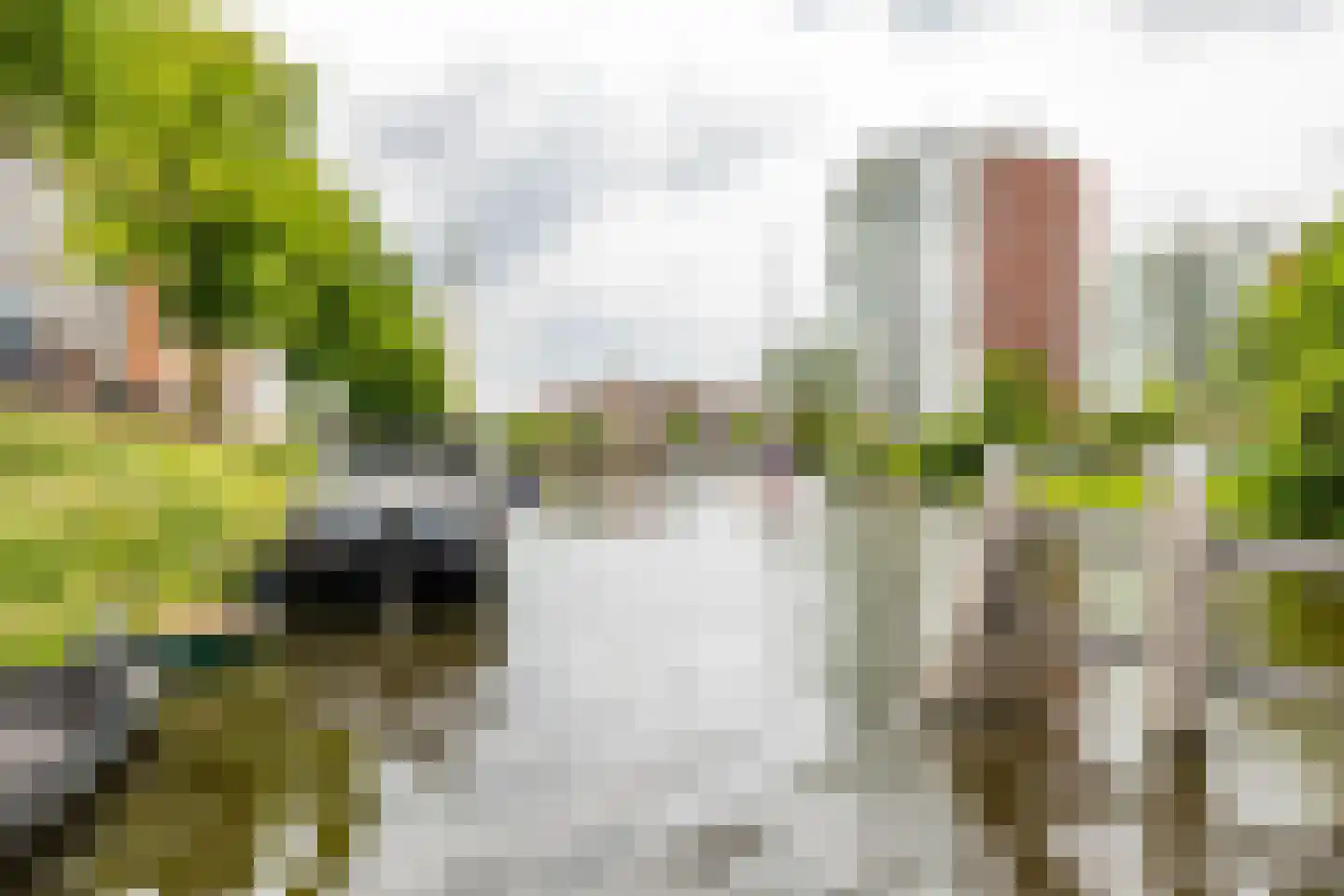 Emmasingel 1001 Groningen thumbnail 30