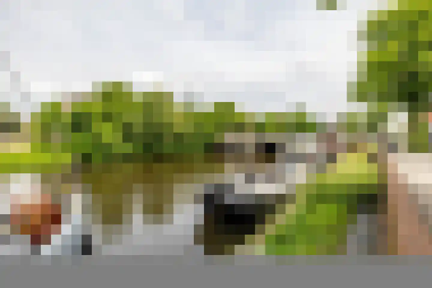 Emmasingel 1001 Groningen thumbnail 4