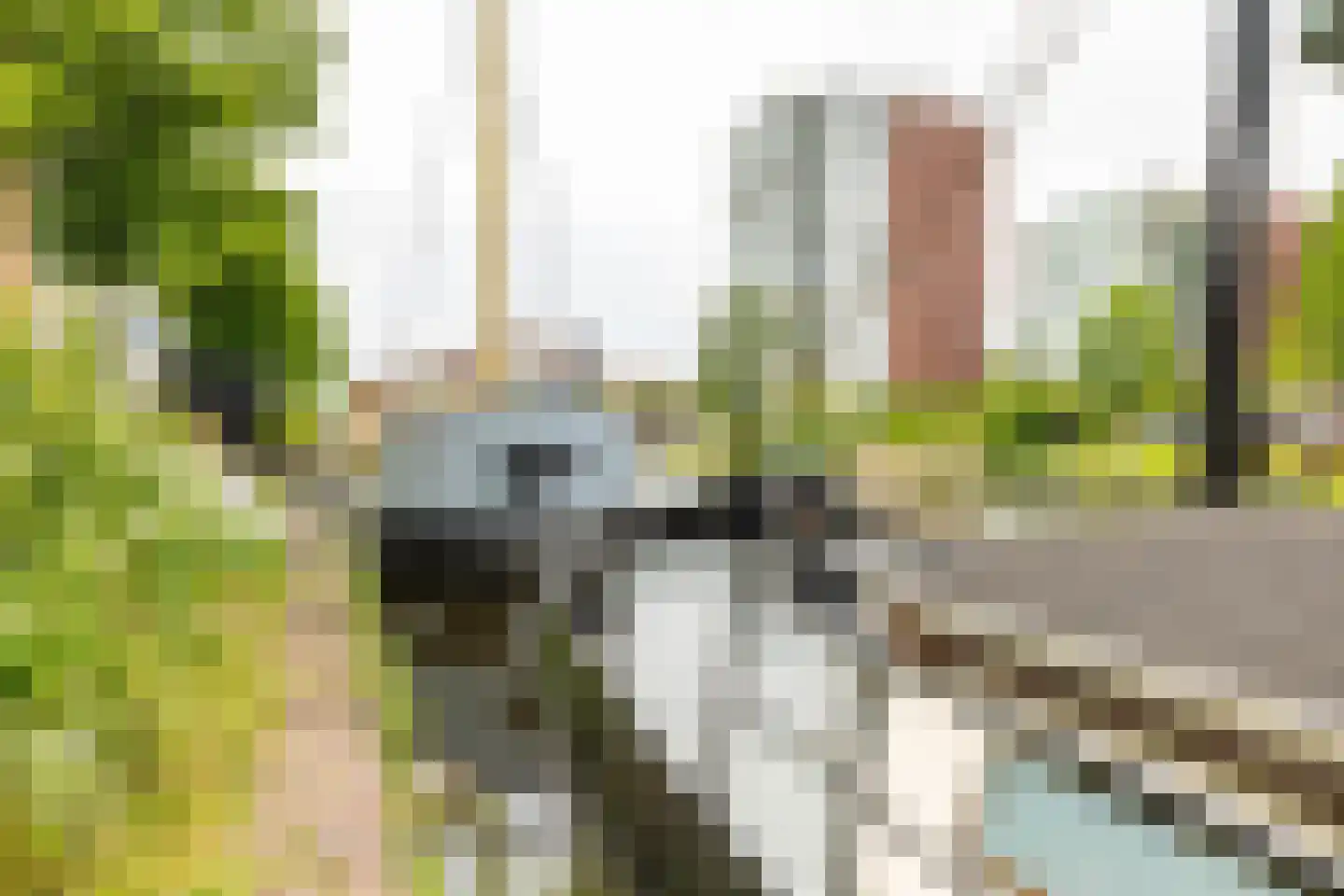 Emmasingel 1001 Groningen thumbnail 5
