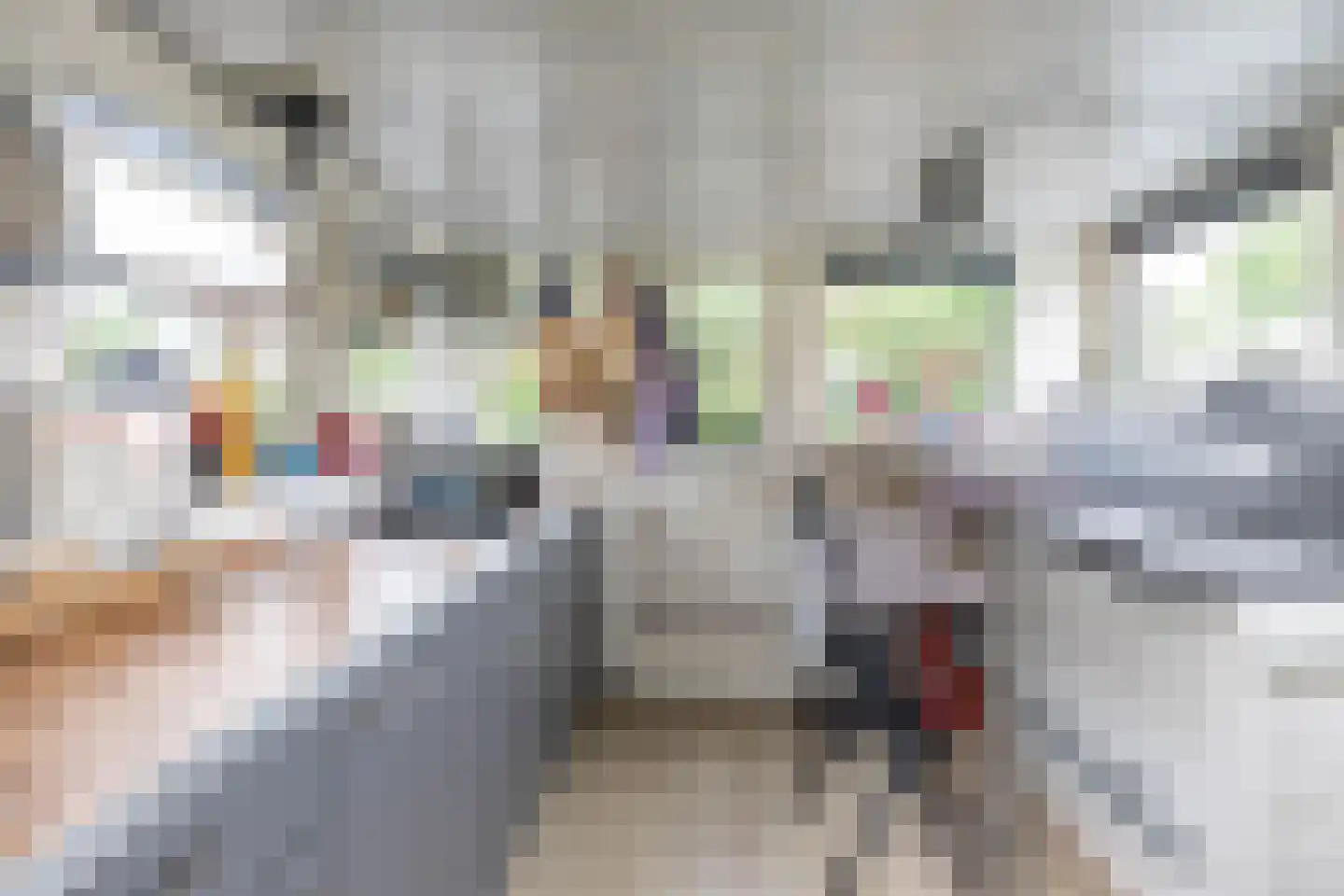 Emmasingel 1001 Groningen thumbnail 8