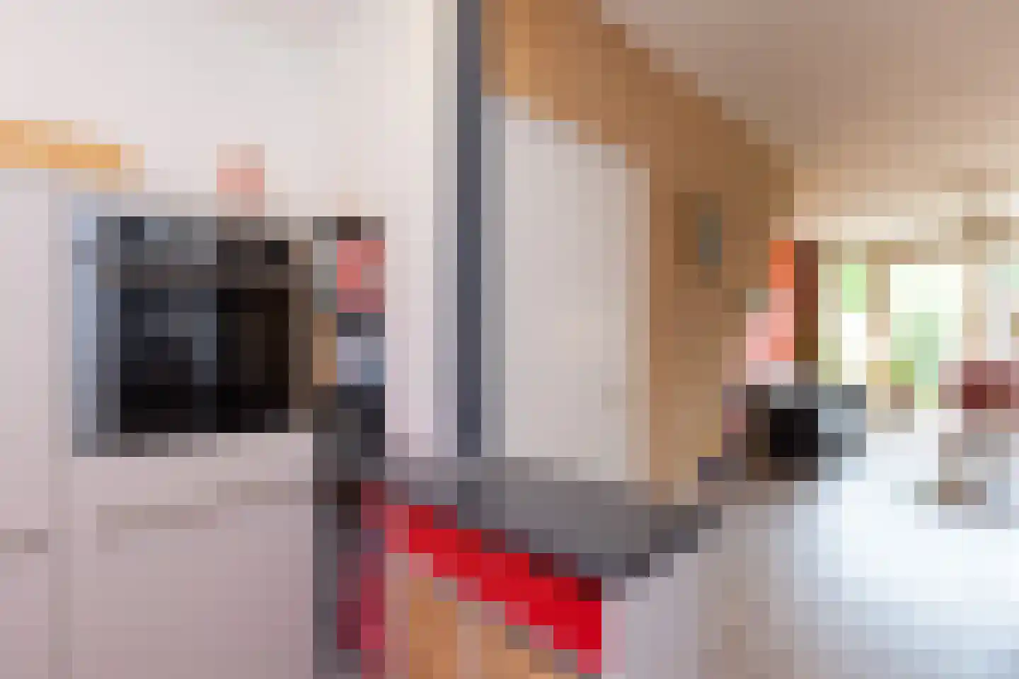 Emmasingel 102 Groenlo thumbnail 15