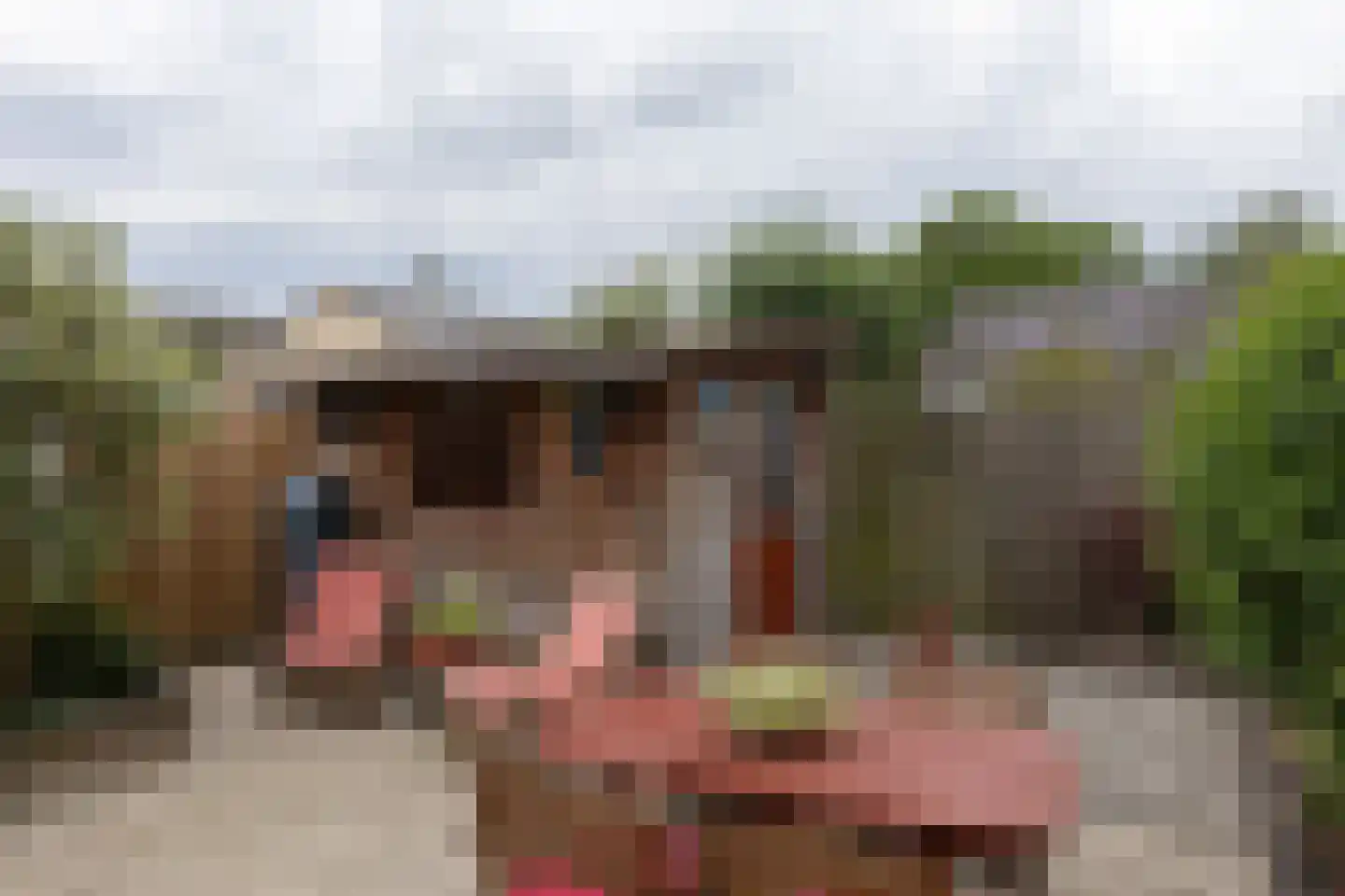 Emmasingel 102 Groenlo thumbnail 37