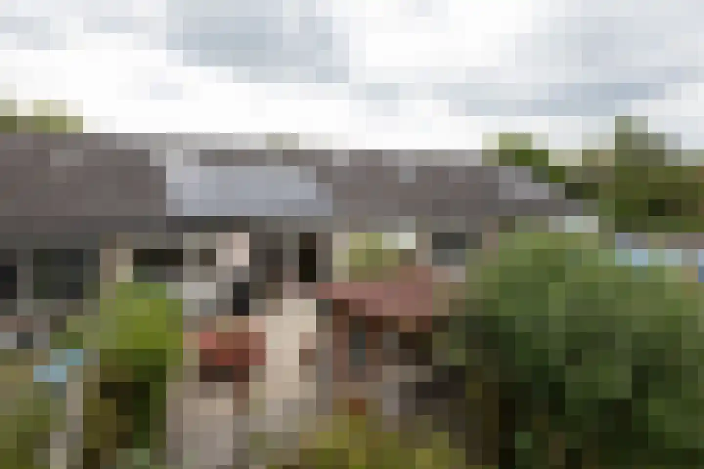Emmasingel 102 Groenlo thumbnail 40