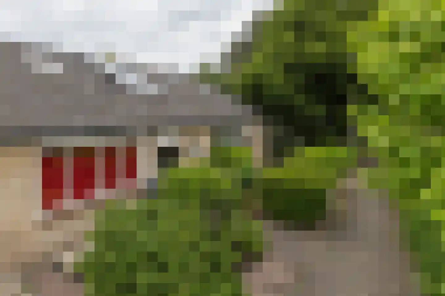 Emmasingel 102 Groenlo thumbnail 41