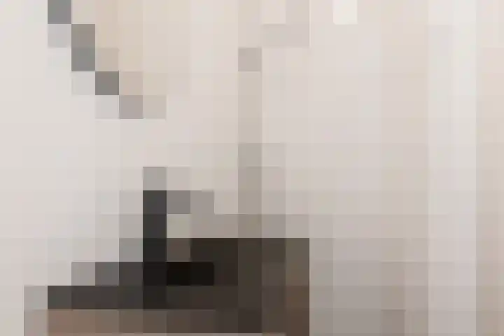 Emmasingel 15 Groenlo thumbnail 22