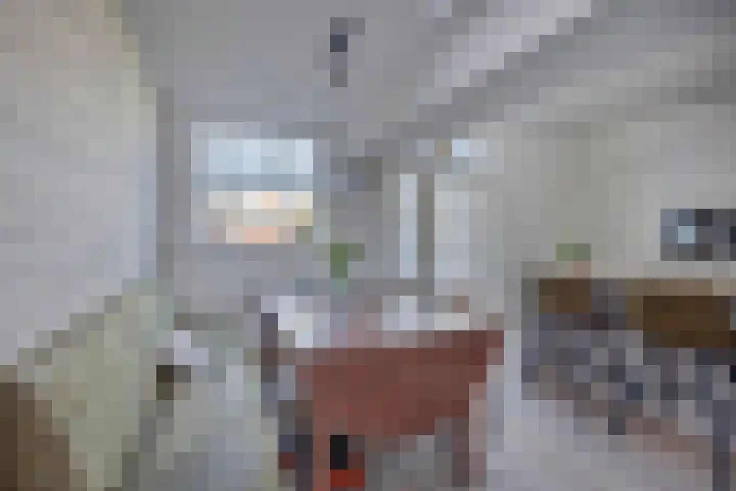 Emmasingel 20 Weert thumbnail 21