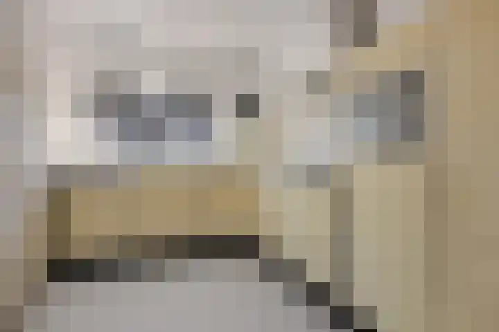 Emmasingel 23 Groningen thumbnail 20
