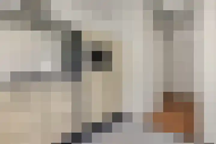 Emmasingel 23 Groningen thumbnail 21